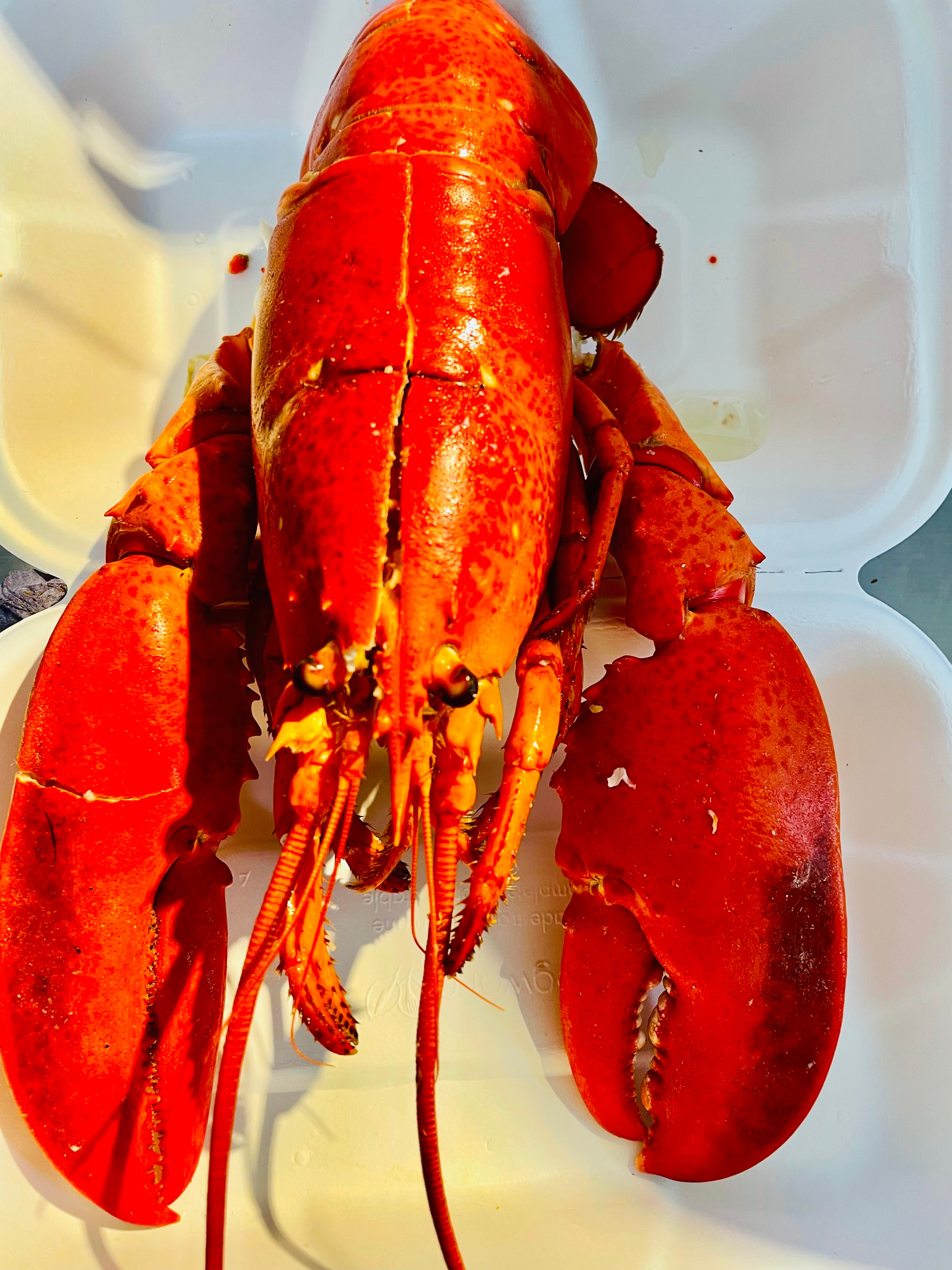 whole-lobster-fries-the-oyster-shed